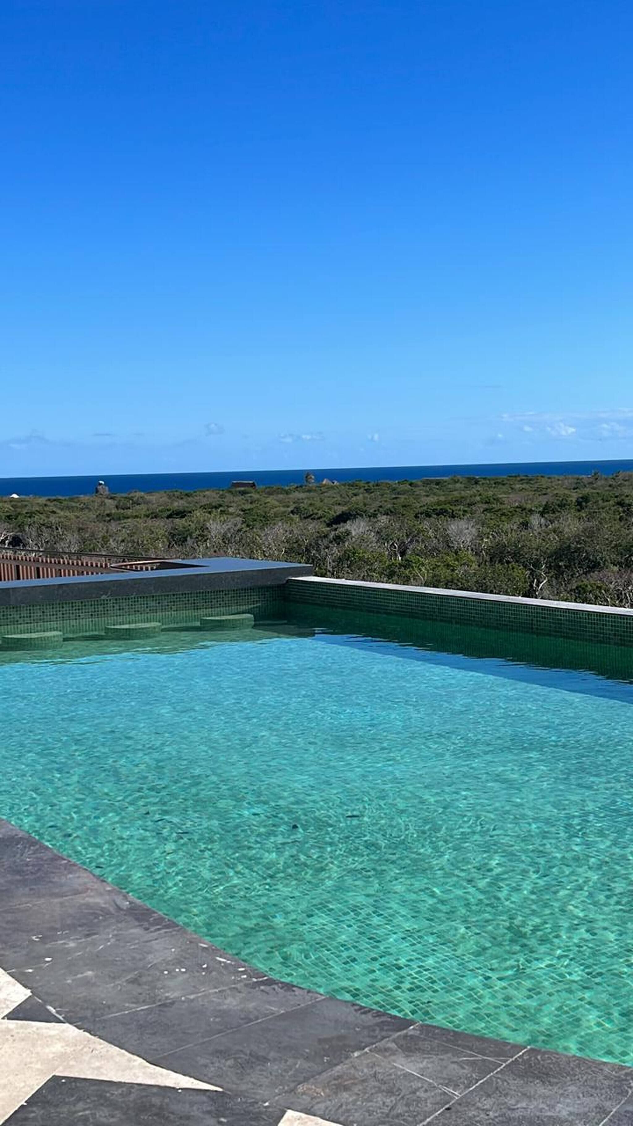 Una piscina azul cristalina con vista al océano y abundante vegetación al fondo.