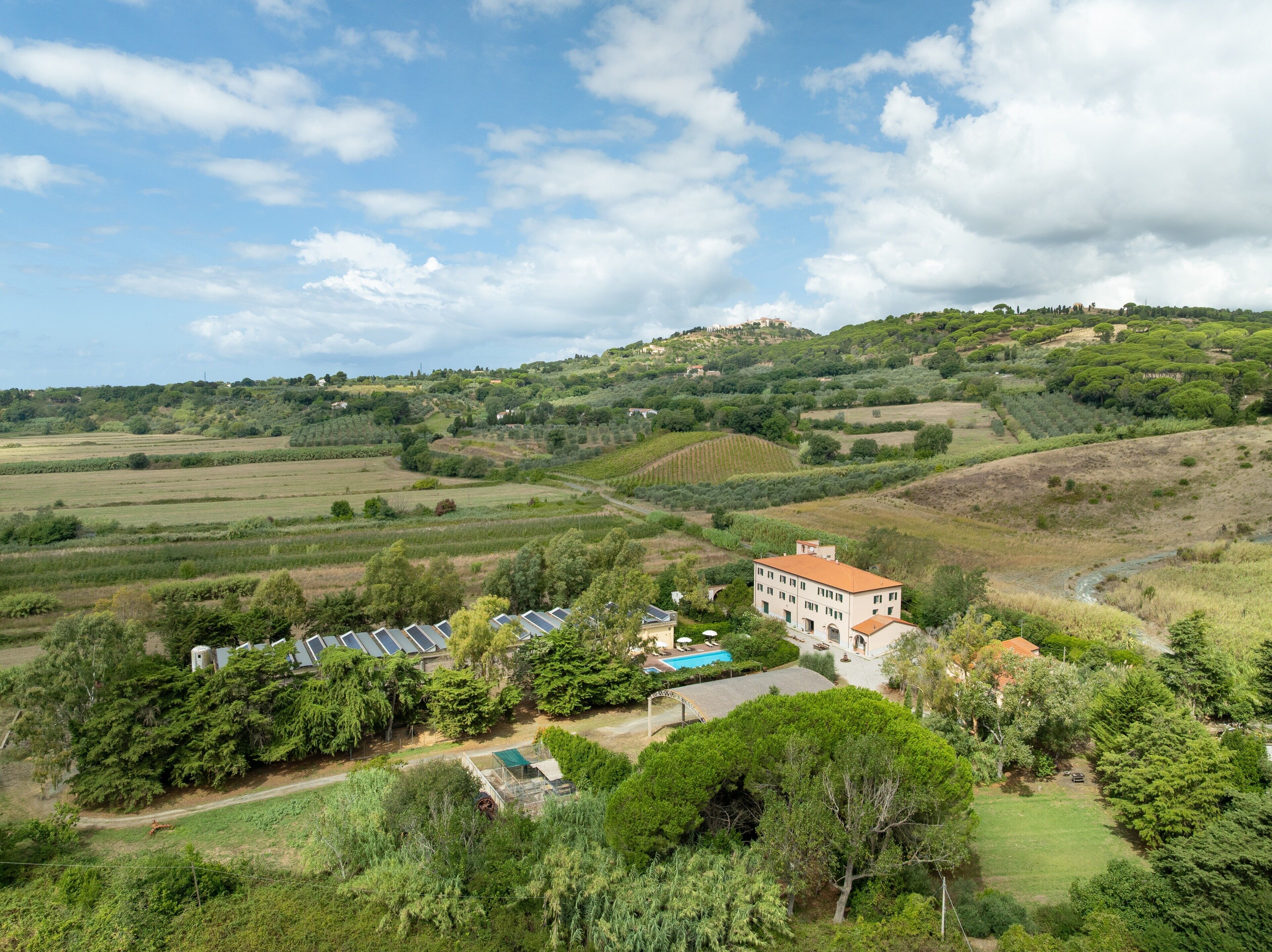 A rural landscape with a building surrounded by greenery and fields.
