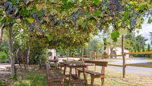 A covered picnic area with benches and tables, surrounded by grapevines. - Salvia Apartment with Shared Pool and Garden (Rosignano Marittimo)