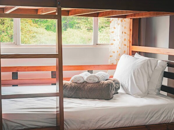 Habitación, 1 habitación | 1 habitación 