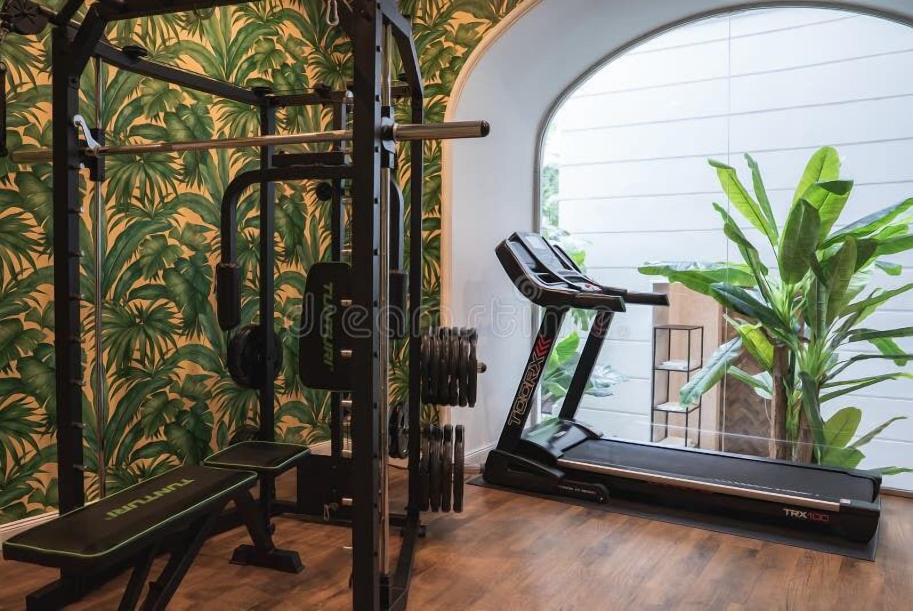 A gym with a treadmill and weightlifting equipment, a bench, and a large window with a view of greenery.