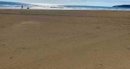 Apartment Vieste puglia well located