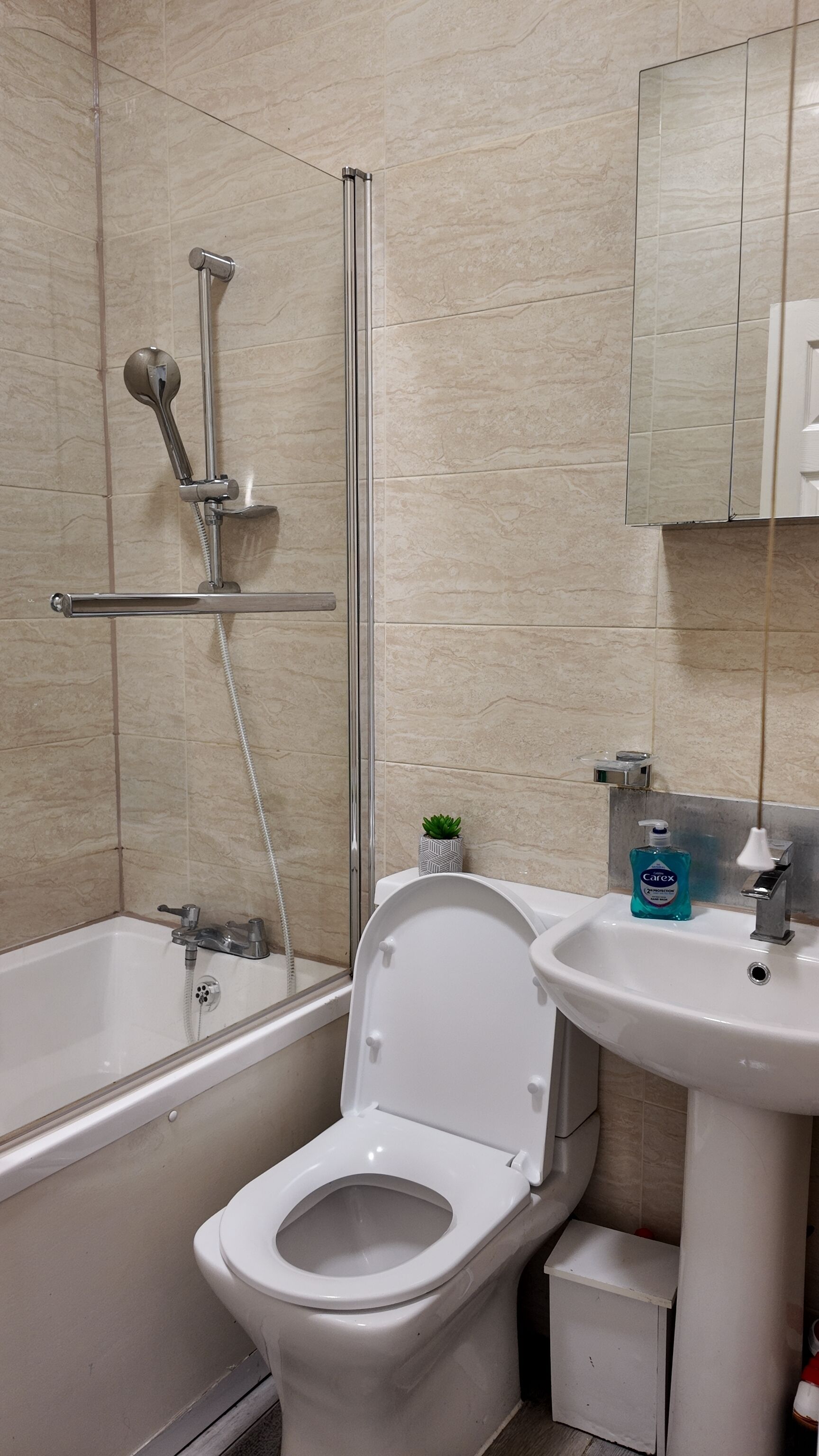 Hair dryer, towels, soap, toilet paper