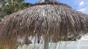 A patio area with a thatched umbrella, wicker furniture, and a pool visible through a greenhouse. - Villa 'Dehesa' with Mountain Views, Wi-Fi, and Air Conditioning (Tabernas)