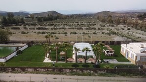 A hotel with a large glass greenhouse, a swimming pool, and a well-maintained lawn with palm trees. - Villa 'Dehesa' with Mountain Views, Wi-Fi, and Air Conditioning (Tabernas)