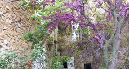 House for 15 people in Vercors. Brunch, etc., upon request