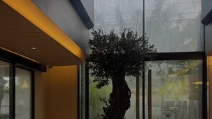 A modern building entrance with a large potted tree, glass doors, and a patterned floor. - Shine Thonglor (Bangkok)
