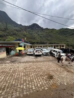 A parking area with several cars and a horse-drawn carriage.