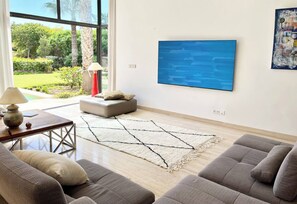 Smart TV, fireplace, books