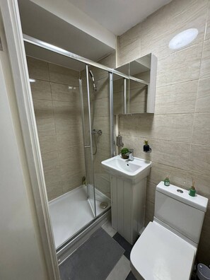 Hair dryer, towels, soap, toilet paper