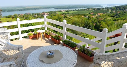 Fabulous house with AC in charming Smederevo, with beautiful view on river