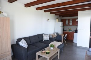 Living area - Fabulous house with AC in charming Smederevo, with beautiful view on river (Smederevo)