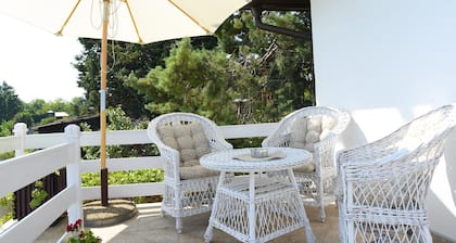 Fabulous house with AC in charming Smederevo, with beautiful view on river