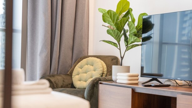 Un salon moderne avec un canapé, un téléviseur, une plante et un meuble en bois.