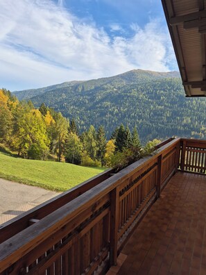 Family Room, Mountainside | Terrace/patio