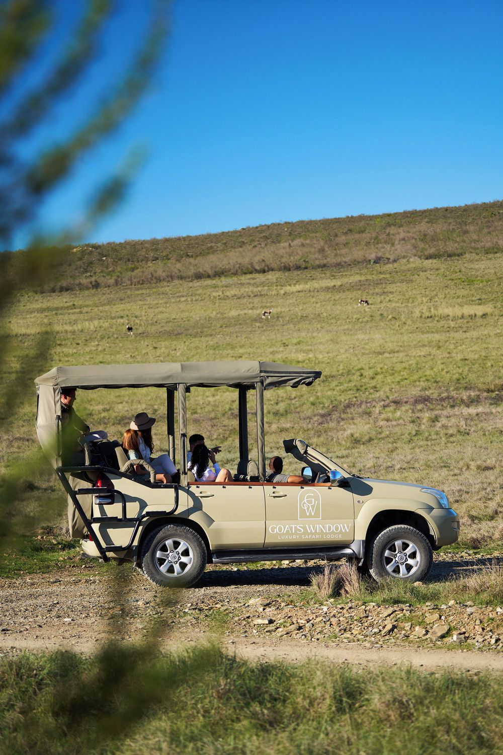 Veículo de safári com passageiros estacionado em um caminho de terra em um campo gramado.