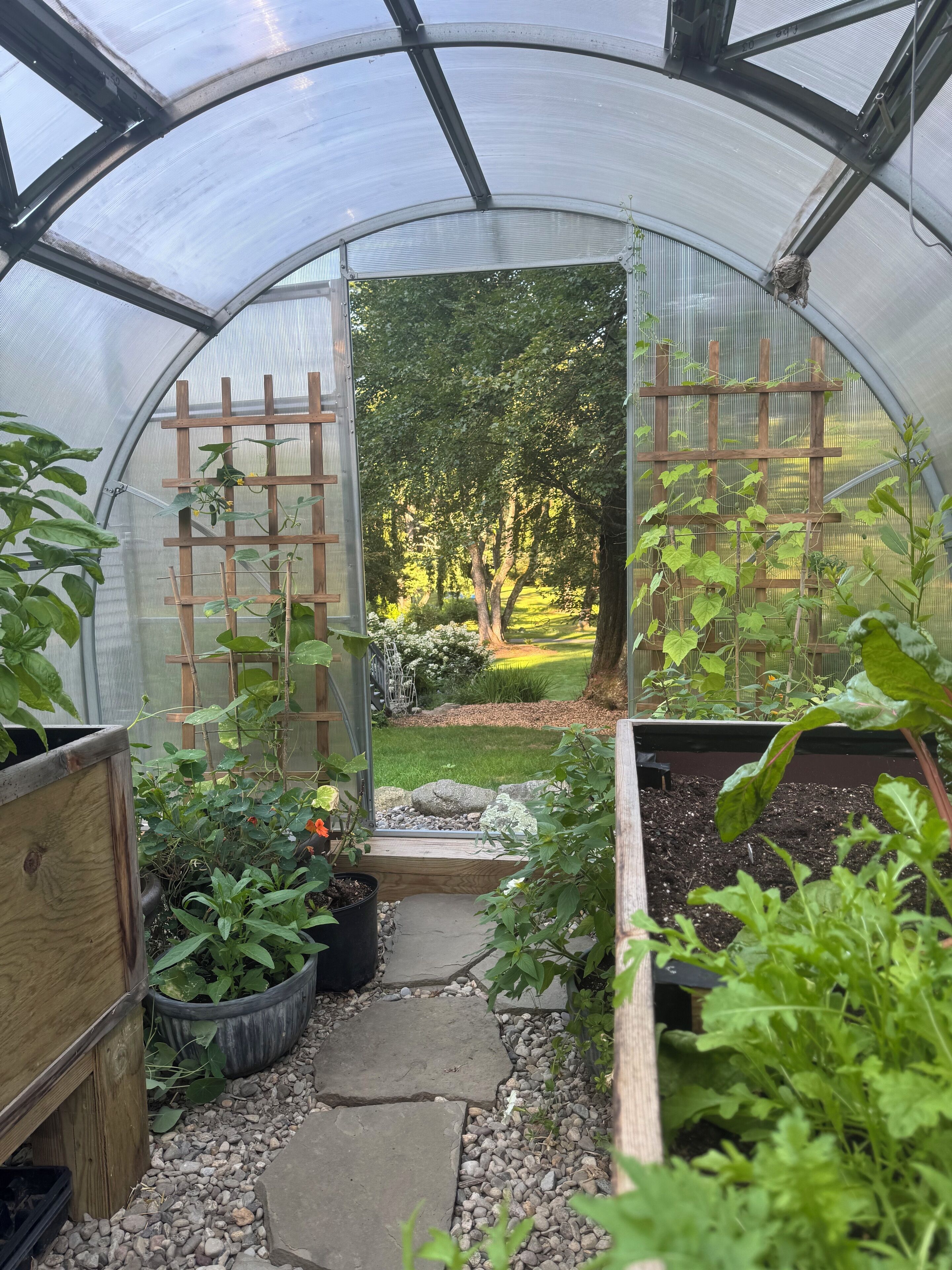 Enceinte de l’hébergement