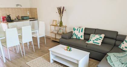 Grand appartement en ville et proche mer