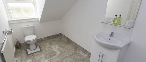 A small, well-lit bathroom with a toilet, sink, and mirror. It has a sloped ceiling and a window providing natural light.