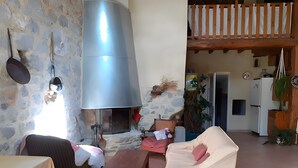 A cozy living room with a stone wall, a fireplace, a sofa, a dining table, and a hanging plant. - Farm Cottage "La Grange" (Garde-Colombe)
