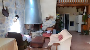 TV, fireplace, DVD player