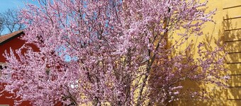 Vacation home Albert Bad Staffelstein/Frauendorf