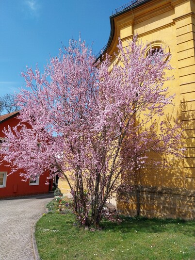Vacation home Albert Bad Staffelstein/Frauendorf