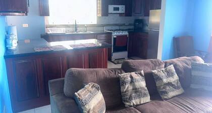 Soothing apartment with AC in charming Barzeys