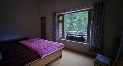 The Orchard Retreat VanVaas
