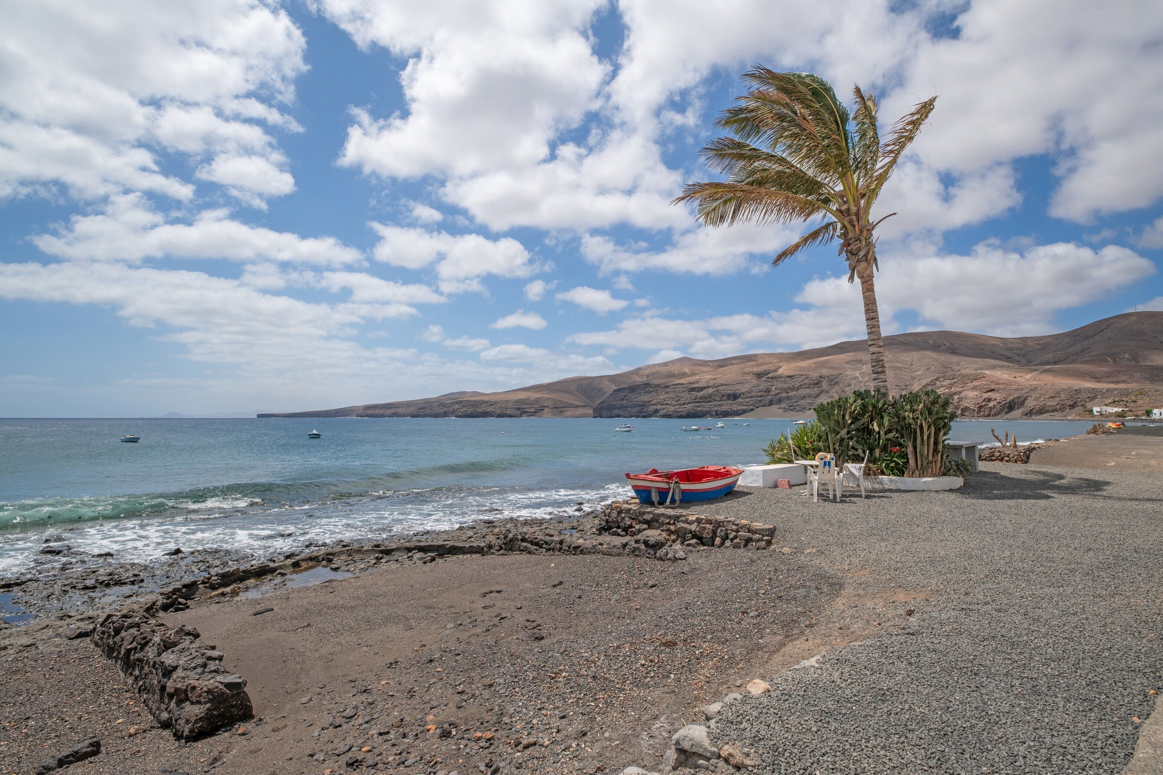 A beach with a palm tree, a small boat, and rocky terrain.