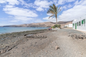Escena costera con una playa rocosa, una palmera y edificios blancos con contraventanas verdes.