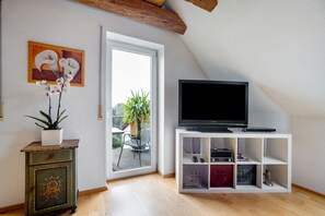 TV