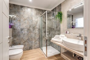 Shower, hair dryer, bidet, towels