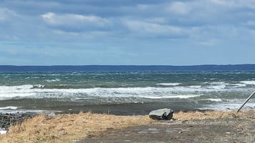 Ranta
