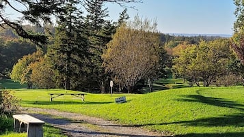 Ulkoalueet