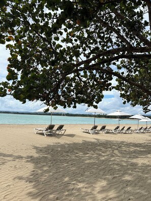 A beach with sun loungers and umbrellas, a clear view of the sea, and a tree overhead.