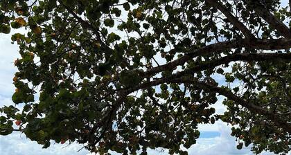 Tee & Sea. Golf - Beach. Hype condo in Playa Dorada, Puerto Plata
