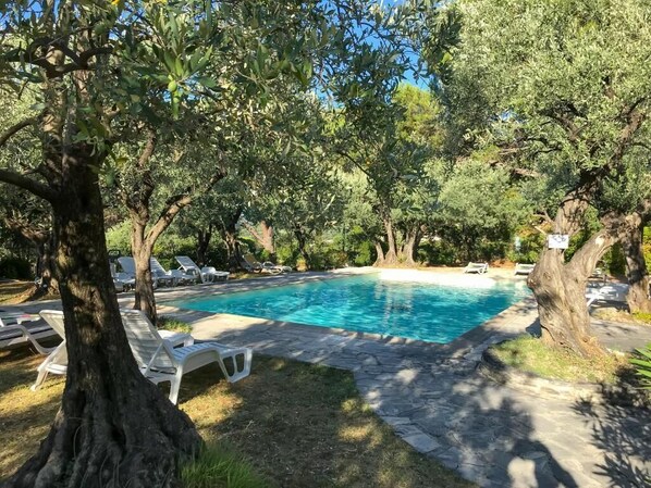 Seasonal outdoor pool, pool umbrellas, pool loungers