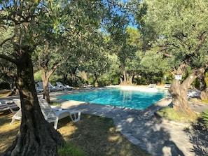 Seasonal outdoor pool, pool umbrellas, pool loungers