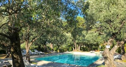HĂŽtel la Picholine en Provence