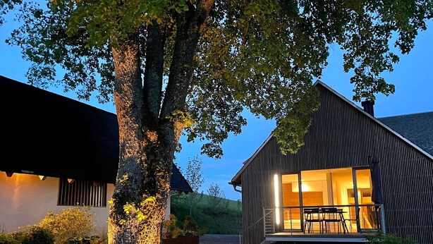 Ein modernes Haus mit einem großen Baum im Vordergrund, einem Balkon mit Sitzgelegenheit und einem gut beleuchteten Innenraum.