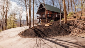 A cabin with a green roof, surrounded by trees and a dirt path leading to it.