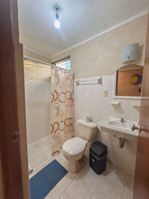 Dusche, Handtücher, Seife, Toilettenpapier