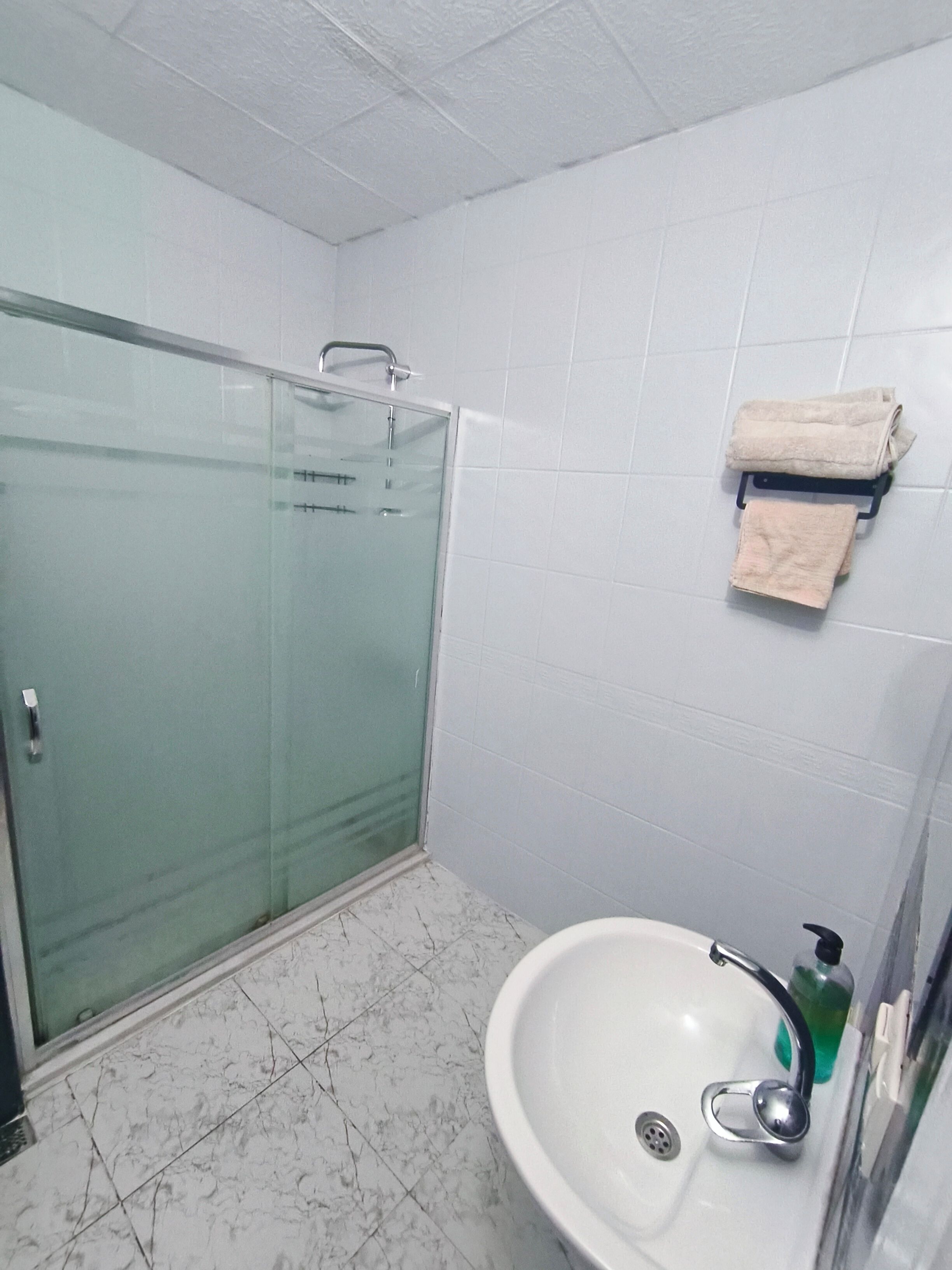 Casa de banho com chuveiro em cabine de vidro, lavatório com dispensador de sabonete e toalheiro com toalha dobrada.