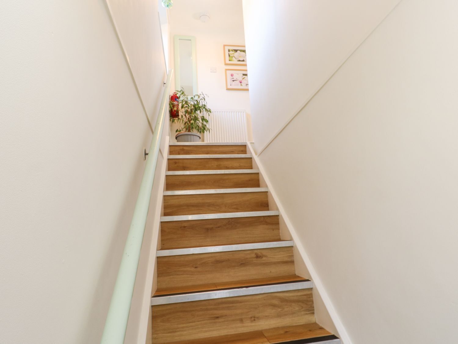 Una escalera de madera con paredes blancas y una planta en maceta en la parte superior.