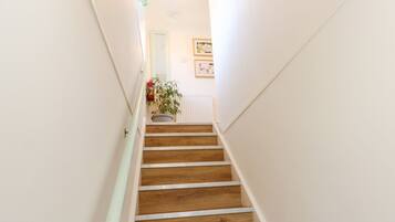 Una escalera de madera con paredes blancas y una planta en maceta en la parte superior.