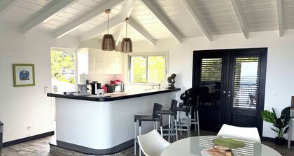Breathtaking views lovely private house with AC in Anse des Cayes St Barths.