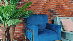 Een blauwe fauteuil tegen een bakstenen muur, een groene bank met een roze kussen, en een grote plant met brede bladeren.