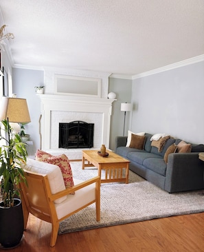 Smart TV, fireplace, books