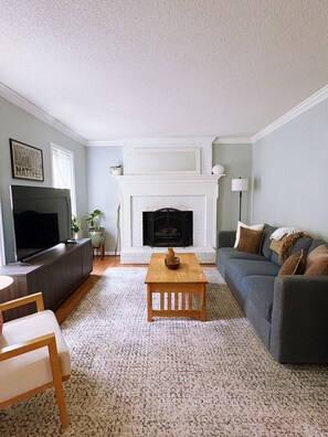 Smart TV, fireplace, books